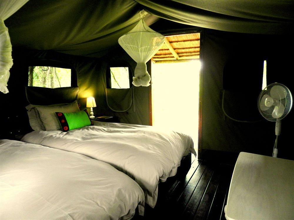 Shindzela Tented Camp Timbavati Game Reserve Exteriér fotografie