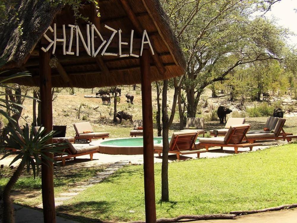 Shindzela Tented Camp Timbavati Game Reserve Exteriér fotografie