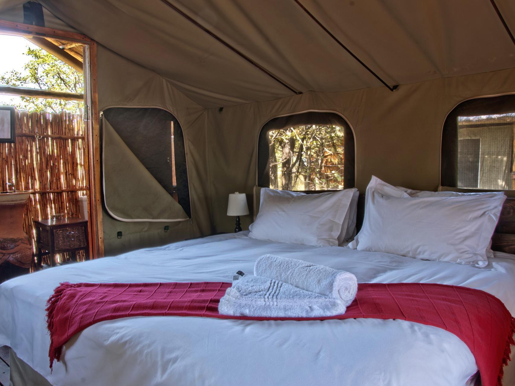 Shindzela Tented Camp Timbavati Game Reserve Exteriér fotografie