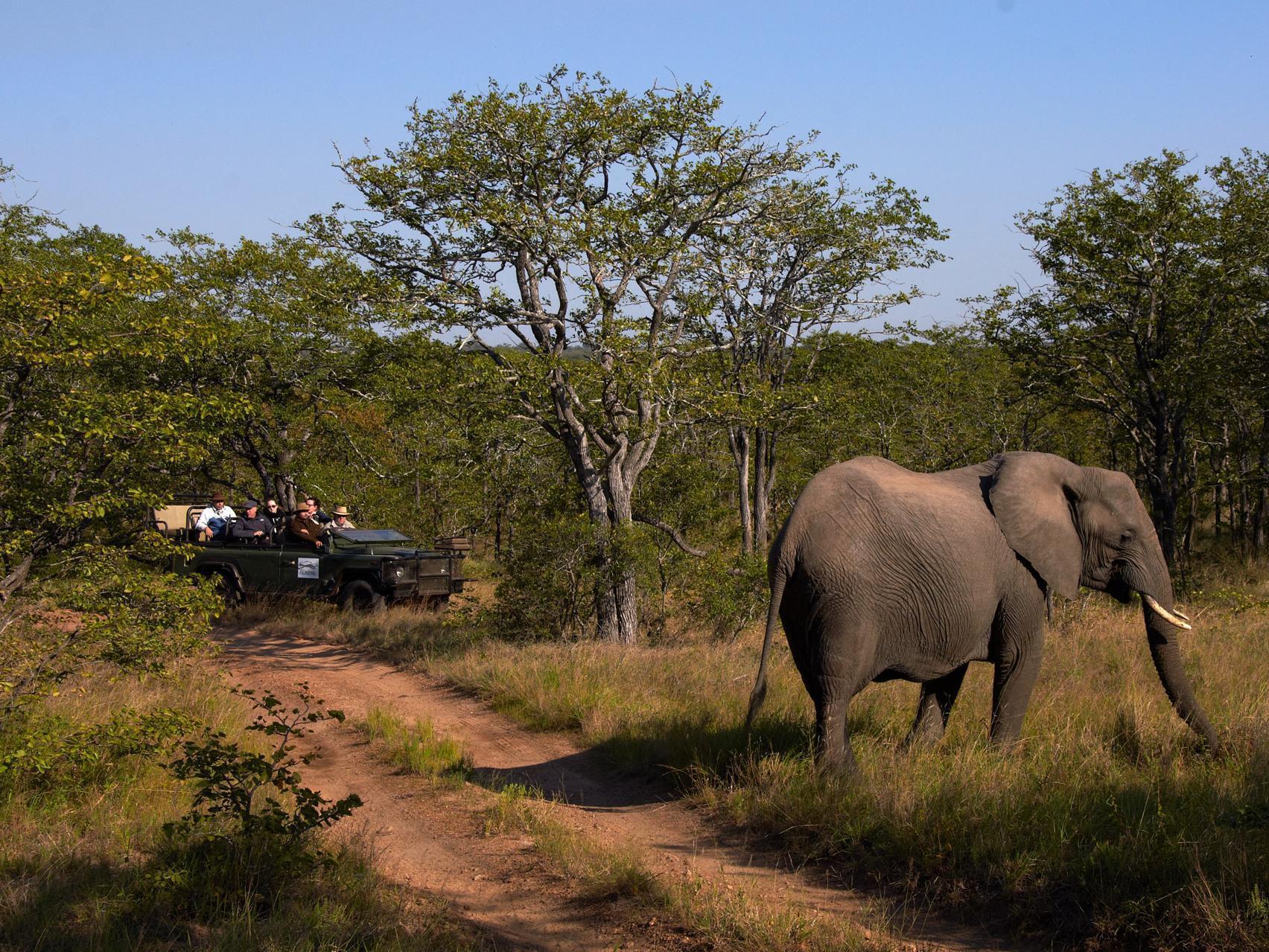Shindzela Tented Camp Timbavati Game Reserve Exteriér fotografie