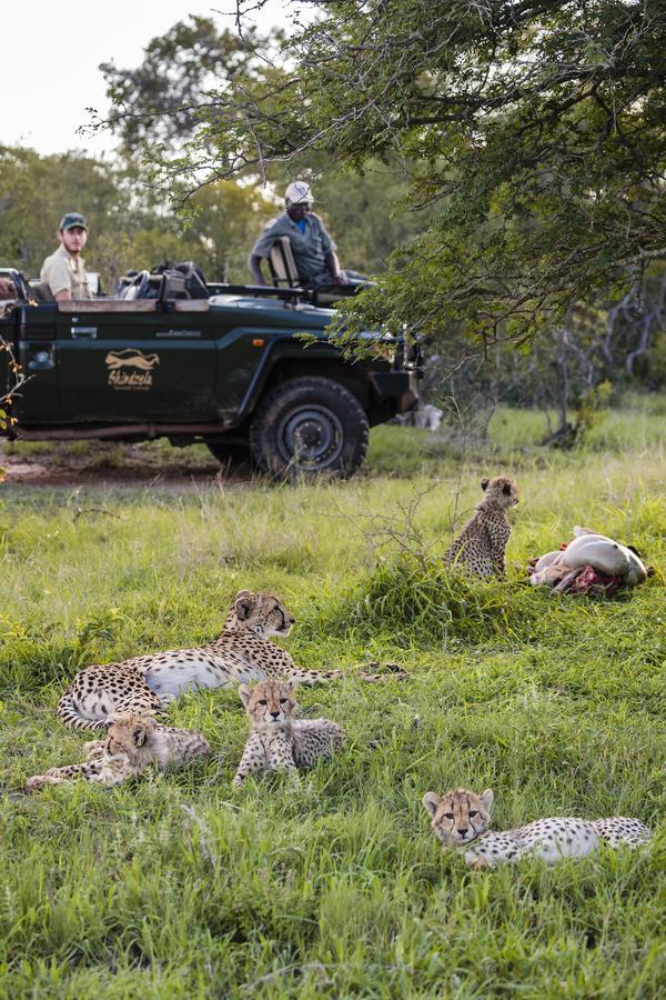 Shindzela Tented Camp Timbavati Game Reserve Exteriér fotografie