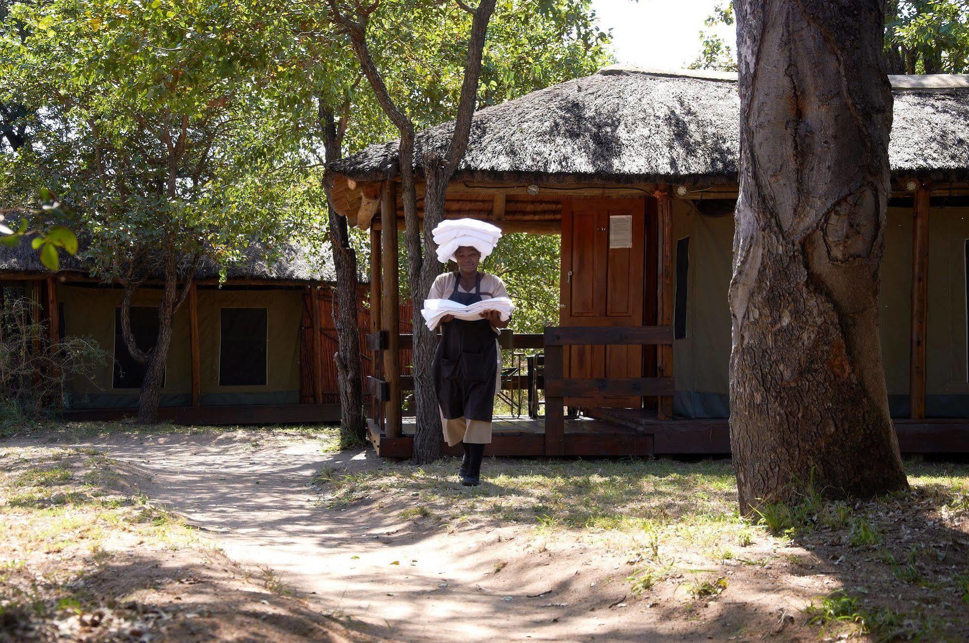 Shindzela Tented Camp Timbavati Game Reserve Exteriér fotografie