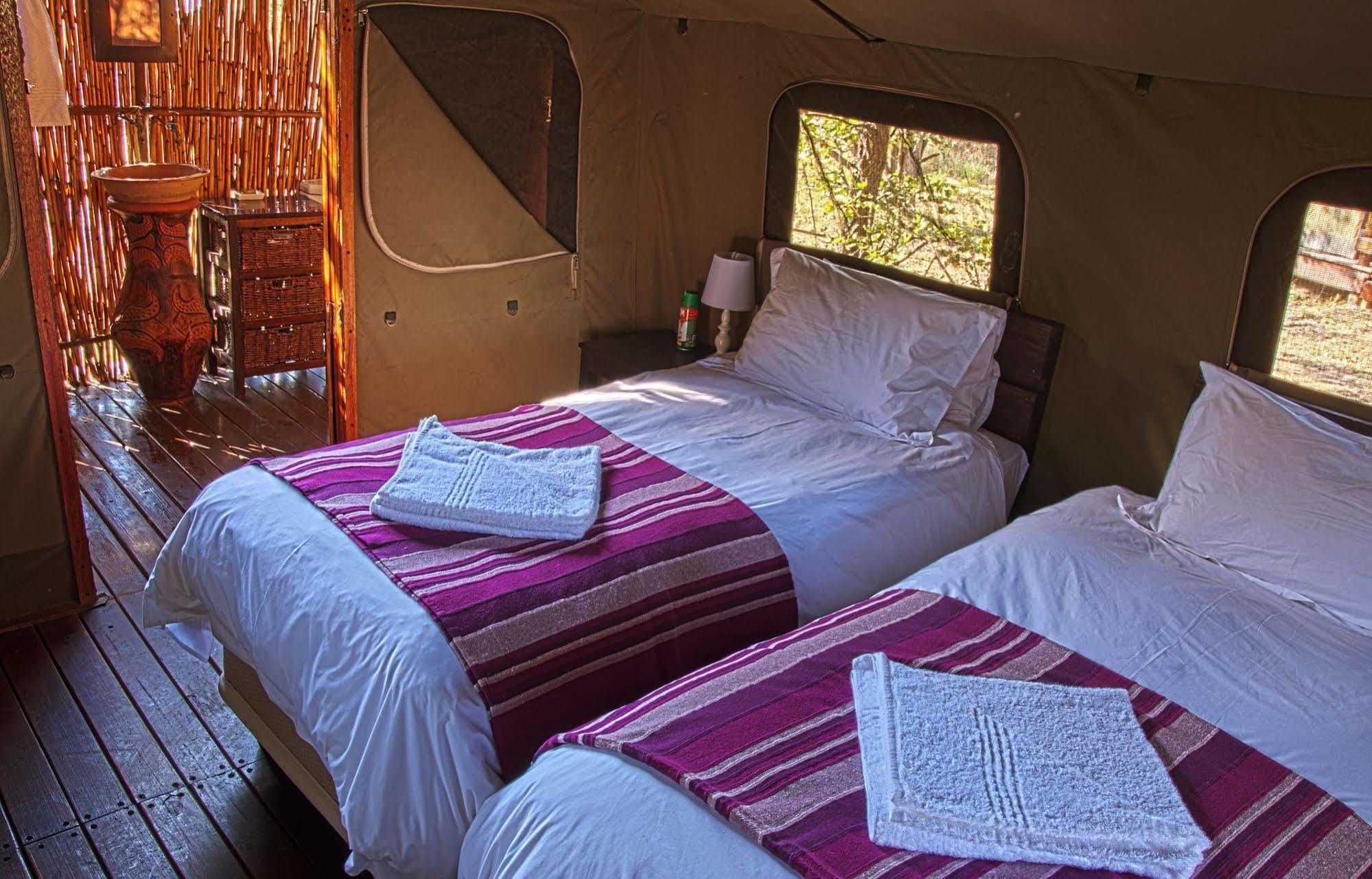 Shindzela Tented Camp Timbavati Game Reserve Exteriér fotografie