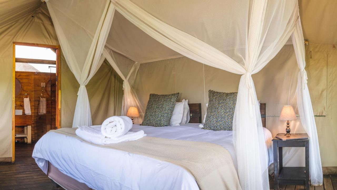 Shindzela Tented Camp Timbavati Game Reserve Exteriér fotografie
