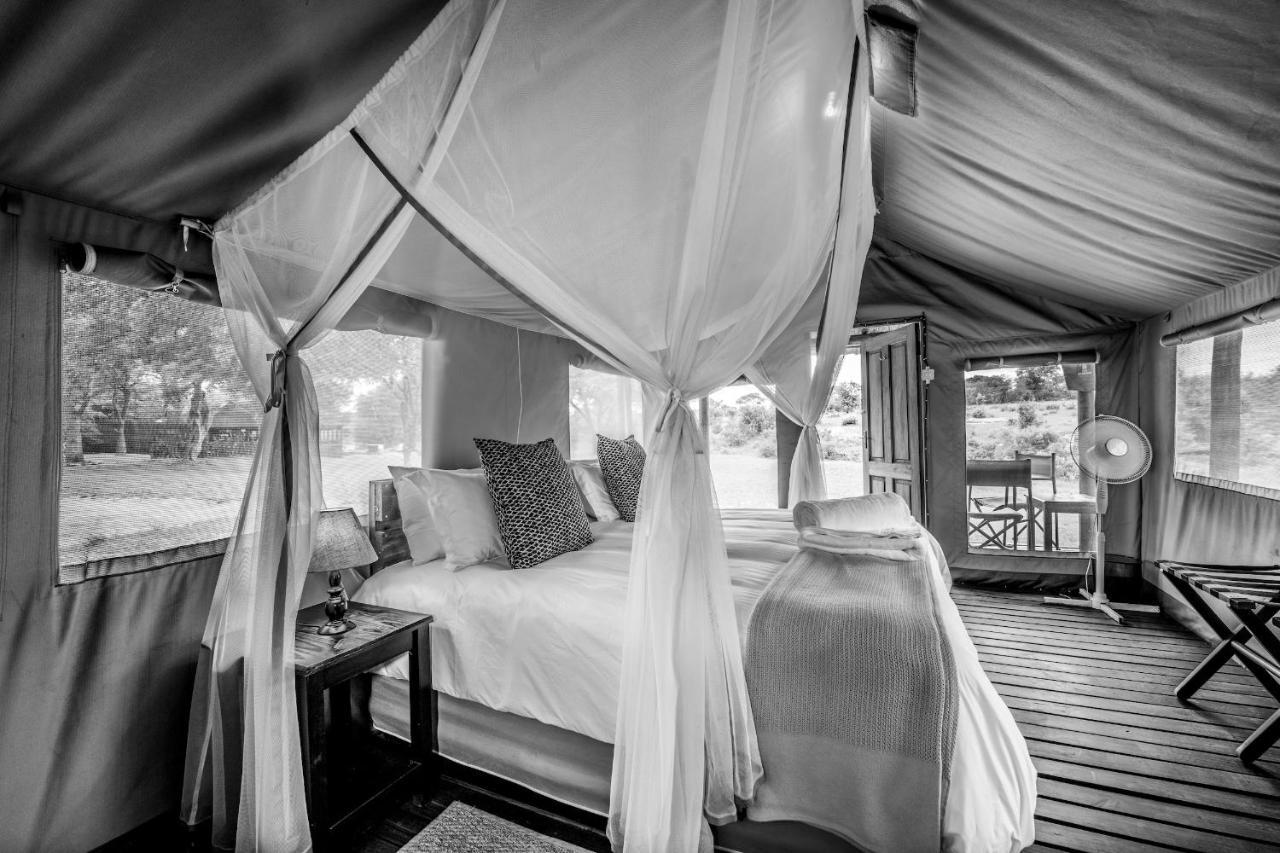 Shindzela Tented Camp Timbavati Game Reserve Exteriér fotografie