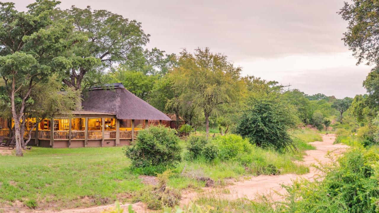 Shindzela Tented Camp Timbavati Game Reserve Exteriér fotografie