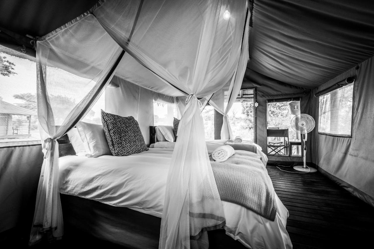 Shindzela Tented Camp Timbavati Game Reserve Exteriér fotografie